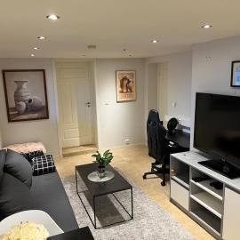 Cosy, modern apartment near the city center, מלון בSenja