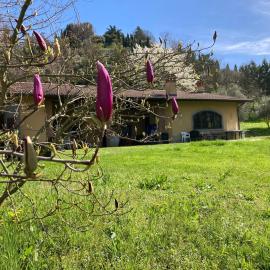 Villa Vinea Prisca B&B - Bergamo Hill, Hotel in Cenate Sotto
