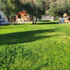 Cortijo Batán