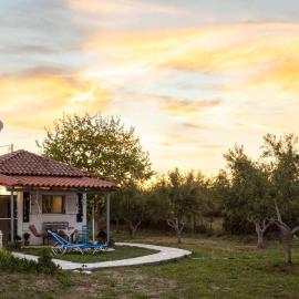Petalidi Sunny Home One - Charming Garden Nest