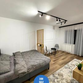 Studio Fălticeni, hotel di Falticeni