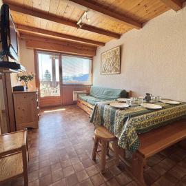 À deux pas des pistes : Appartement 2 pièces cabine à Crest-Voland – 4-6 pers. - FR-1-595-65, hotel a Crest-Voland