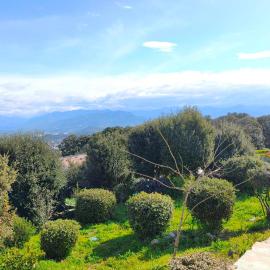 Apartment 3 rooms with garden in Ajaccio