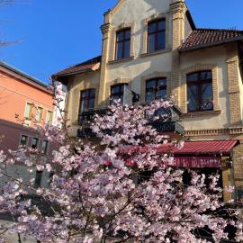 Port Inn Hotel, hotel i Eichwalde