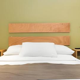 2ndhome, hotel in Celaya