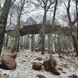 Cabaña Boreal, Punta del Bosque, hotel u gradu Uaska de Okampo