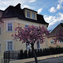 Villa Kreuzbergl - Einzelzimmer, hotel in Klagenfurt