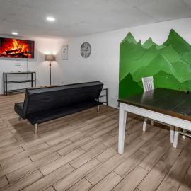Cozy Mountain-Inspired Lower Unit in Denver