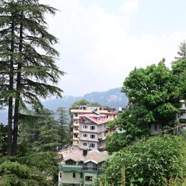 Krishna Hill Stay Near Mall Road, hotel Simlában