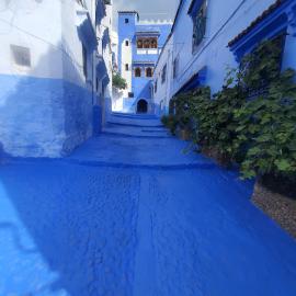 aline hostel 2، فندق في شفشاون