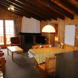 Mayens de l Ours DZ 130 - MOUNTAIN apartment 8 pers, hotel a Salins
