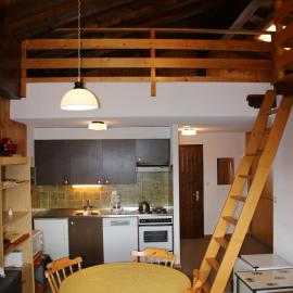 Mayens de l Ours DZ 131 - MOUNTAIN apartment 6 per, hotel a Salins