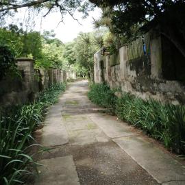 Avondale