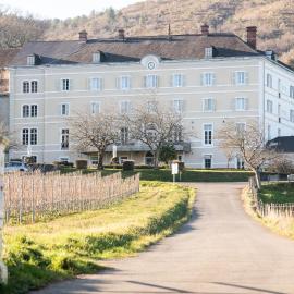 Domaine AGERRIA, Hotel in Mauléon-Licharre