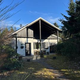 Chalet BERGliebe Willingen- Nähe Skywalk, отель в Виллингене