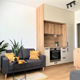 Beautiful apartment near the city center