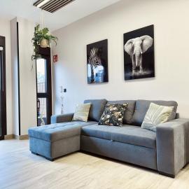 Flower Deluxe Apartamento con Jardín 6082B