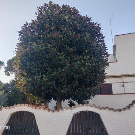 Viesnīca Aminth relax tra mare e colline pilsētā Santa Marinella