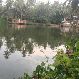 Peaceful perch, Hotel in Kozhikode