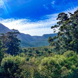 The Cabins at Phantom Acres, hotel in Hout Bay