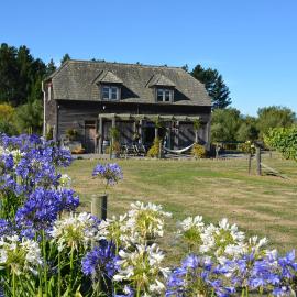 DDOG Vineyard & BnB, Hotel in Renwick
