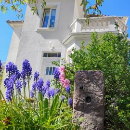 Villa Le Marronnier, clim, Terrasse, Parking & Spa privé, calme, entre Colmar-Riquewihr et Obernai, Route des vins d'Alsace