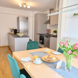 Zentrales Apartment Pfänderblick