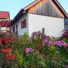 Lindenhof Tiefenellern