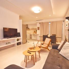 Potamos Superior Grey Apartment