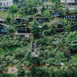 Cú Trên Cây Homestay, hotell i Ấp Xuân An
