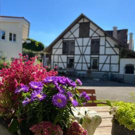 Naturnahes Apartment mit sonniger Terrasse, Ravensburg nahe Bodensee & Messe