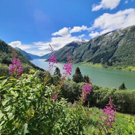 Leikanger में, होटल Over the Fjord