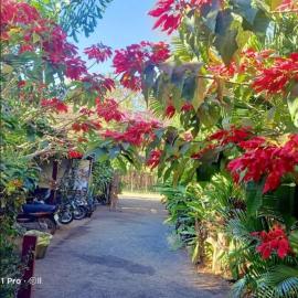 Tribal Village Homestay & Trekking, хотел в Banlung