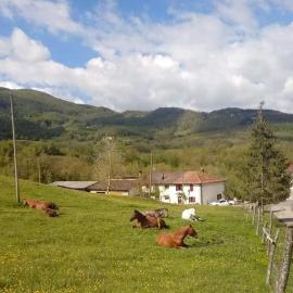 La Lissandra Agriturismo House, hotel em Palagano