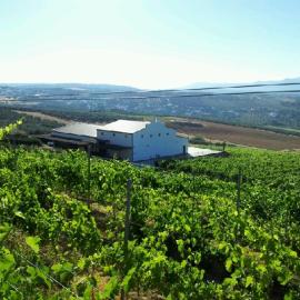 Bodegas Morosanto, khách sạn ở La Cimada