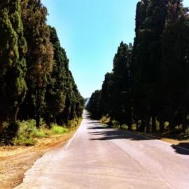 Poggio Ai Due Pini