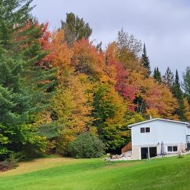Comfy creekside chalet HiSpeedNet w Workspace、Mansonvilleのホテル