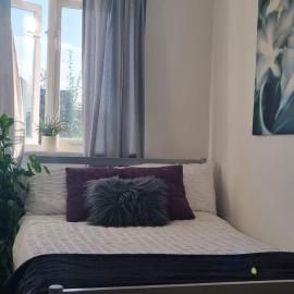Stylish Small Double with Free Street Parking near Hampton Court