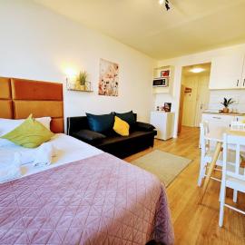 TERRACE-VIEW PRAGUE STUDIOS for Business & Leisure, FREE PARKING, Near Metro, Gym