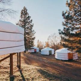 Glamping yurt at nature retreat in Sequoia NForest, hotel in Miramonte