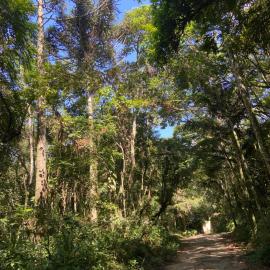 Abraço da Natureza 2km Est do Vinho, hotel in São Roque