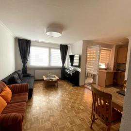 1 Zimmer Apartment mit Balkon