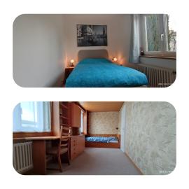 Double & Single Room In Very Quiet And Cosy House, beds 140x200 & 90x200, hotel en Dübendorf