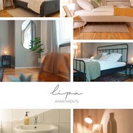 K15 Cozy, Unique & Spacious 3-Room Apartment with Balcony or Single Room by LIPA، فندق في كارلسروه