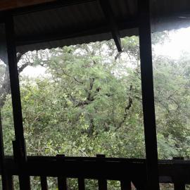 Rhulani Treetop Cottage