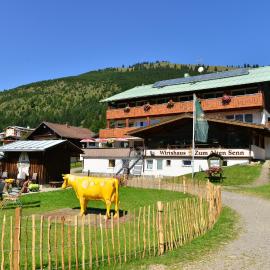 Zum Senn - Hotel Garni – hotel w mieście Bad Hindelang