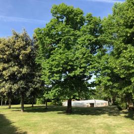 Périgourdine avec piscine, nature & bastides