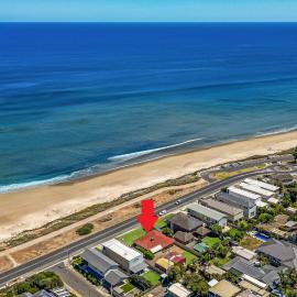 Swainson by Surf