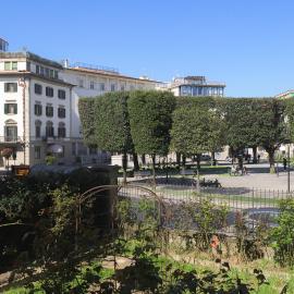 La Finestra su Guido Monaco