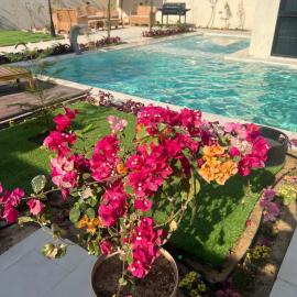 Viesnīca شاليه كوڤ 2 Cove Chalet pilsētā Quai